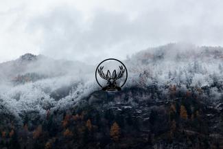 The Cliff Where Fall Met Winter